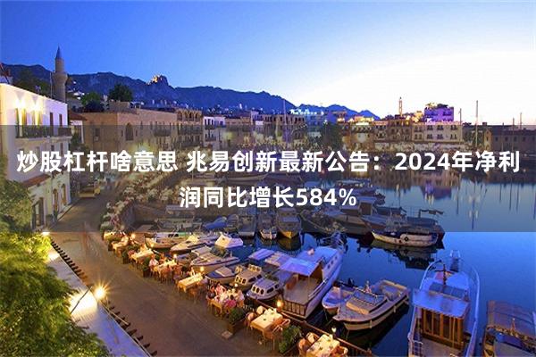 炒股杠杆啥意思 兆易创新最新公告：2024年净利润同比增长584%