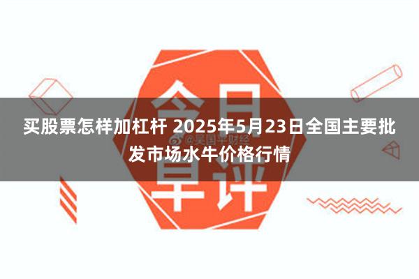 买股票怎样加杠杆 2025年5月23日全国主要批发市场水牛价格行情