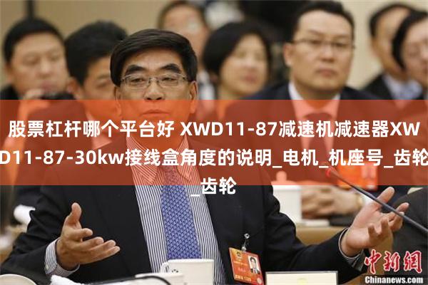 股票杠杆哪个平台好 XWD11-87减速机减速器XWD11-87-30kw接线盒角度的说明_电机_机座号_齿轮