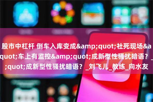 股市中杠杆 倒车入库变成&quot;社死现场&quot;！&quot;车上有监控&quot;成新型性骚扰暗语？_刘飞儿_教练_向水友
