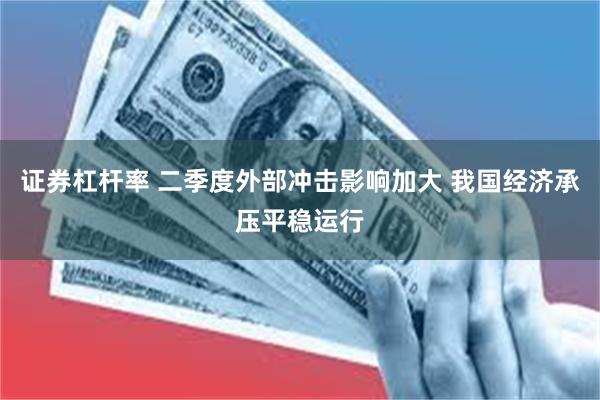 证券杠杆率 二季度外部冲击影响加大 我国经济承压平稳运行